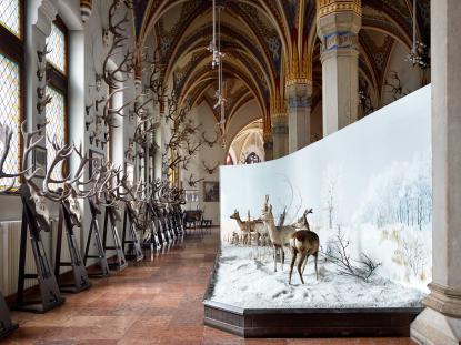 A Magyar Mezőgazdasági Múzeum gótikus termében látható vadászati állandó kiállítás trófeái és diorámája, 2015
