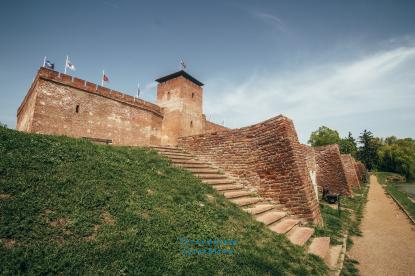 A gyulai vár