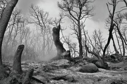 Katyn, fotókiállítás Katyn, fotókiállítás