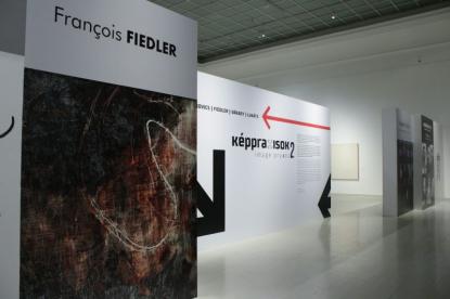 Képpraxisok 2 - Francois Fiedler Képpraxisok 2 - Francois Fiedler