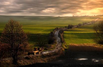 I. helyezett: Szabó Ferenc: Életút