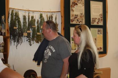 A Természet Ízei A Természet Ízei