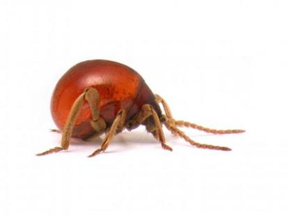 Részlet a Végtelen sokféleség c. kiállításból Részlet a Végtelen sokféleség c. kiállításból