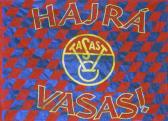 A Vasas Labdarúgó Klub zászlója