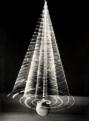 Bárány Nándor – Pendulum in Motion