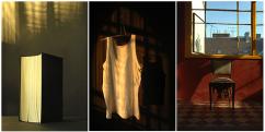A taste of the exhibition