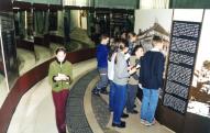 A taste of the exhibition