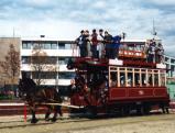 Horse Rail