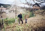 Working in the garden