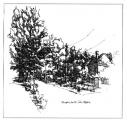 The Drawings of Zoltán Tóth 