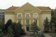 The museum building