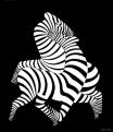 Zebras