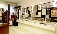 A taste of the exhibition
