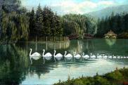 Line of swans, 21 January 2006, oil on canvas, 40x60 cm