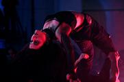 Detail of the Performance