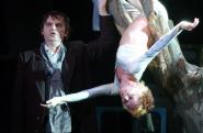 Detail of the Performance
