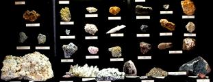 A taste of the exhibition