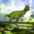 Carnotaurus sastrerei