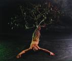Gyenis Tibor: Az Hommage á Ana Mendieta sorozatból, 1999.
