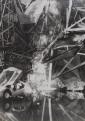 Kondor Béla: A Katasztrófa I-XIX. sorozatból / From the Series Catastrophe
I-XIX, 1972
Ezüst zselatin nagyítás / Gelatin silver print, 415 × 295 mm
MNG ltsz. / HNG inv. no.: MM.83.64. Kondor Béla: A Katasztrófa I-XIX. sorozatból / From the Series Catastrophe
I-XIX, 1972
Ezüst zselatin nagyítás / Gelatin silver print, 415 × 295 mm
MNG ltsz. / HNG inv. no.: MM.83.64.
