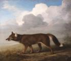 Stubbs: Nagy kutya