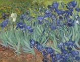 Vincent van Gogh: Íriszek, 1889.