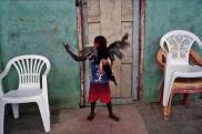 Alex Webb: A fény szenvedése
