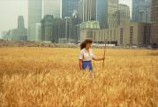 Wheatfield – A Confrontation: Battery Park Landfill, Downtown Manhattan – With Agnes Denes Standing in the Field, 1982