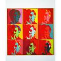 Andy Warhol alkotása