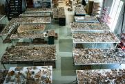 A leletek restaurálásával a budapesti Salisbury Kft. munkatársai foglalkoznak, akiknek  elképesztő mennyiségű, 60 rekesznyi anyaggal kell megbirkózniuk, a megközelítőleg 100 darab edény helyreállításakor.  