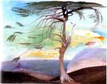 Magányos cédrus, 1907 vászon, olaj, 194x248 cm (Egy cédrusfa a Libanonból, Libanoni cédrus, Cédrusfa, Cédrus) Janus Pannonius Múzeum, Pécs 