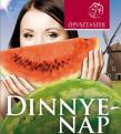 Dinnyenap