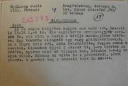 Néprajzi interjú cédulája az erdei szamóca gyűjtéséről a JPM Néprajzi Osztályának adattárából