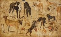 Id. Jan Brueghel: Állatok, tanulmányrajz, 1616.