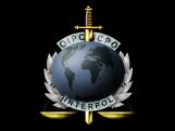 Interpol logo