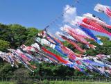 Koinobori