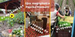 Újra megnyitott a Paprika Múzeum!