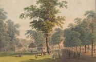 „Versammlung der schönen Welt bey den Kaffee-Häusern in der großen Prater Allee“, 1795, Johann Ziegler, Laurenz Janscha nyomán, színezett rézkarc