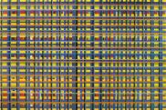 Sean Scully