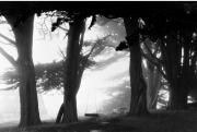 Zsigmond Vilmos: Hinta