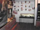 A taste of the exhibition