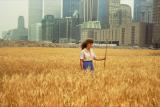 Wheatfield – A Confrontation: Battery Park Landfill, Downtown Manhattan – With Agnes Denes Standing in the Field, 1982