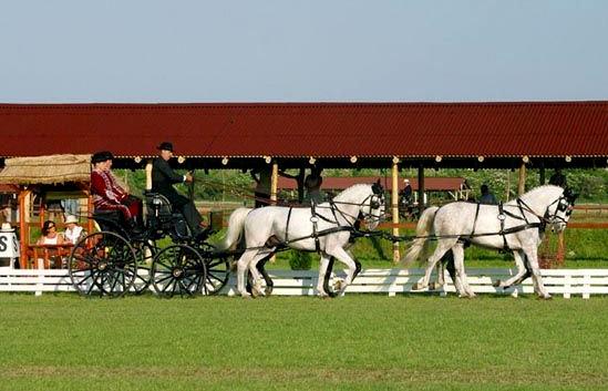 Részlet a kiállításból