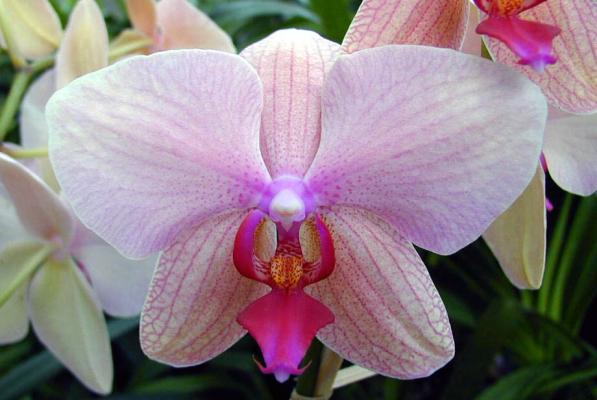 Részlet a kiállításból