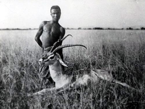 Kittenberger Kálmán fotója egy vadászatáról