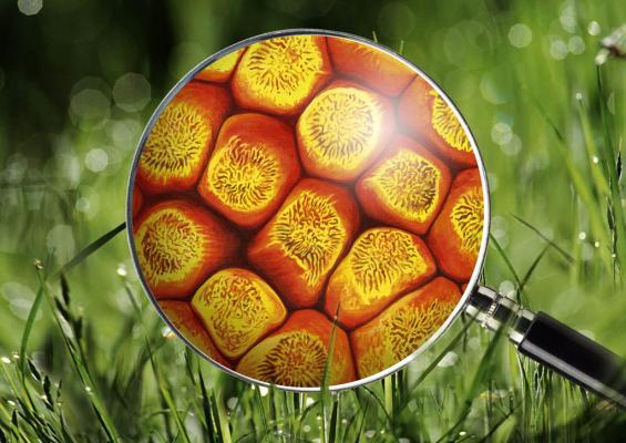 Részlet a kiállításból