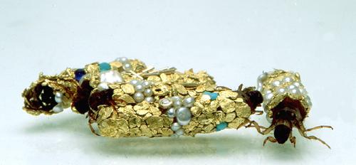 Hubert Duprat: Trichopterus lárvatokok, 1990-1995