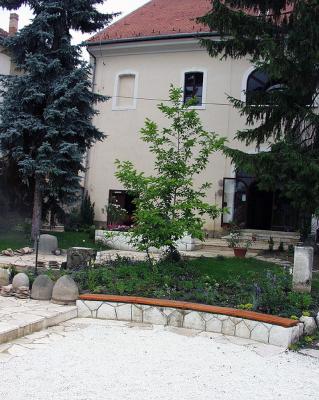 Open Air Stone Collection in the Yard of the Museum