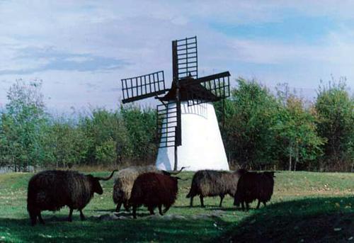 Széldaráló