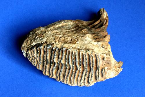 Részlet a kiállításból